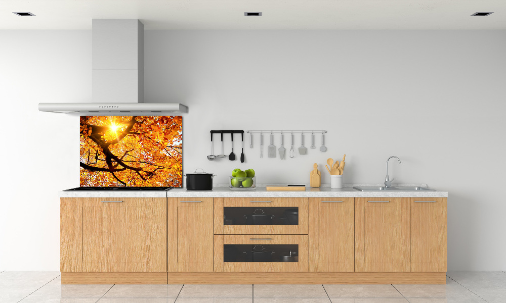 Kitchen splashback Crown of trees autumn