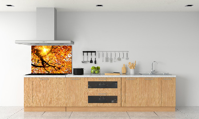 Kitchen splashback Crown of trees autumn