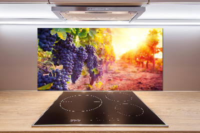 Cooker splashback Vines