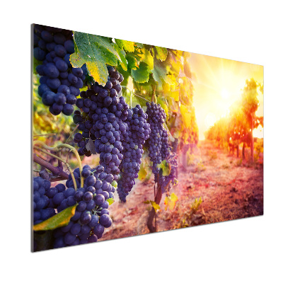 Cooker splashback Vines