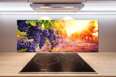 Cooker splashback Vines