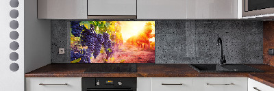 Cooker splashback Vines