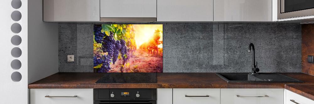 Cooker splashback Vines