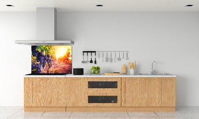 Cooker splashback Vines