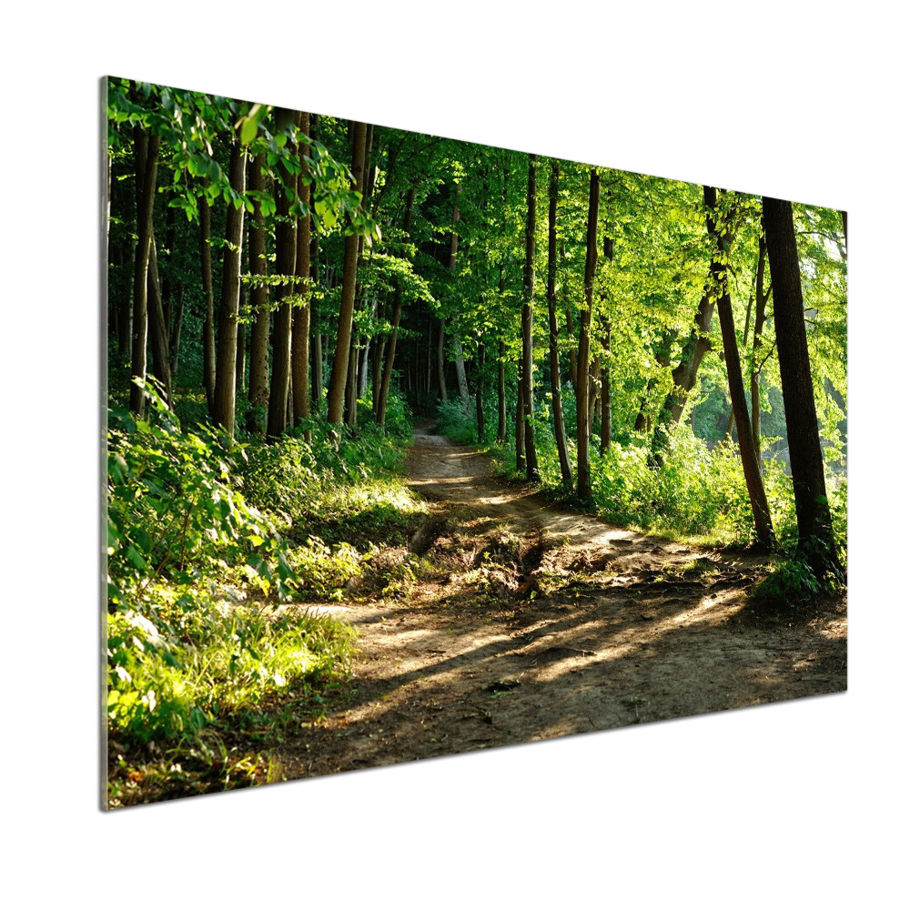 Cooker splashback Path in the meadow