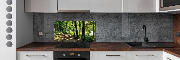 Cooker splashback Path in the meadow