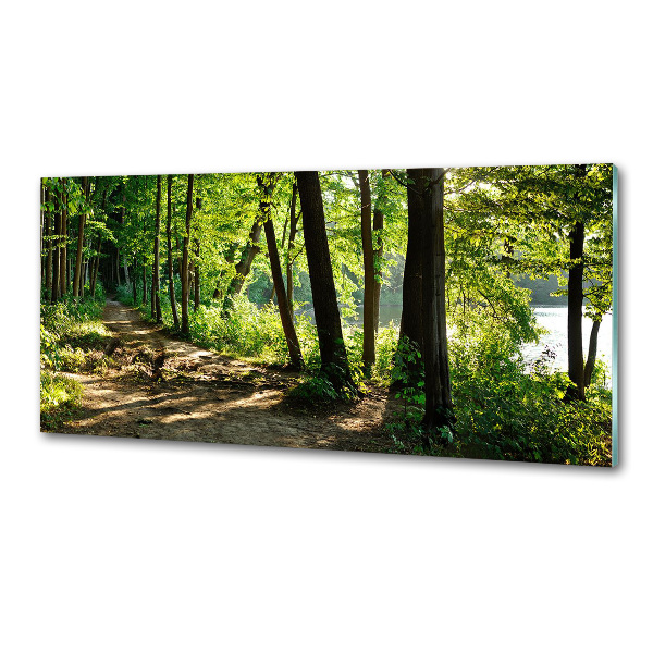 Cooker splashback Path in the meadow