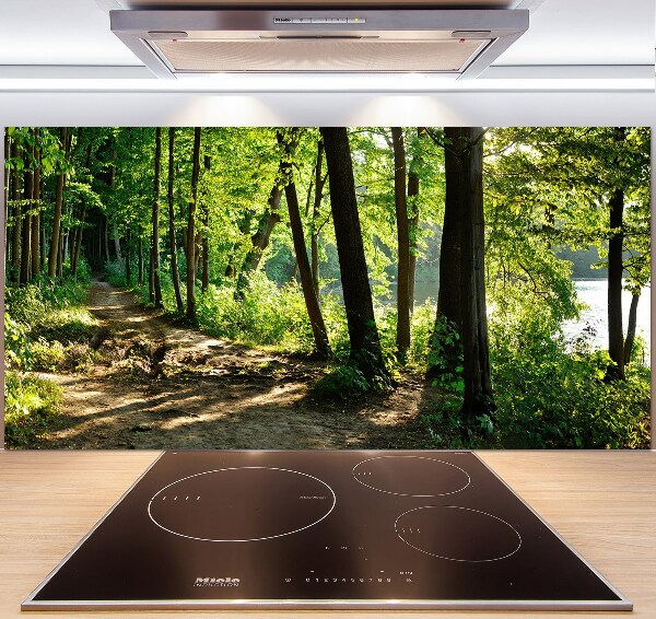 Cooker splashback Path in the meadow