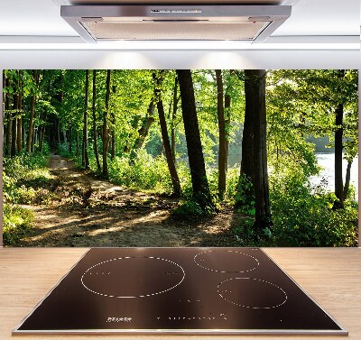 Cooker splashback Path in the meadow