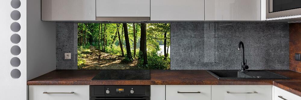 Cooker splashback Path in the meadow