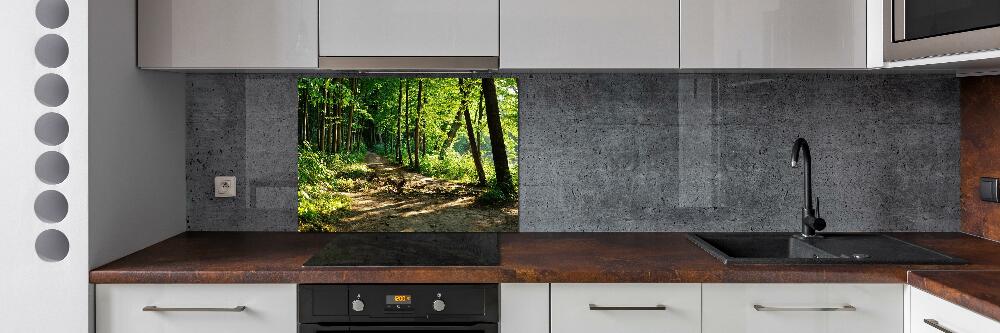 Cooker splashback Path in the meadow