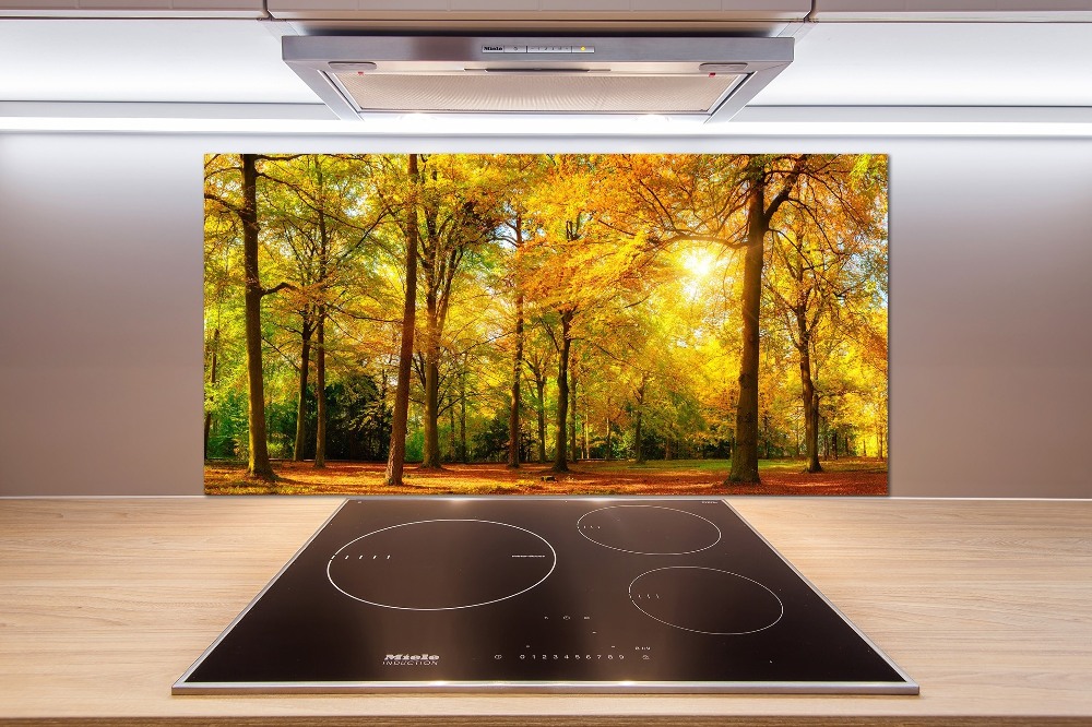 Cooker splashback Forest in autumn