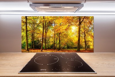 Cooker splashback Forest in autumn