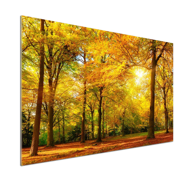 Cooker splashback Forest in autumn