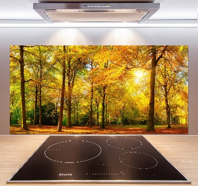 Cooker splashback Forest in autumn