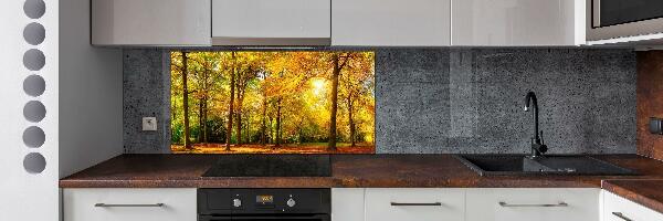 Cooker splashback Forest in autumn