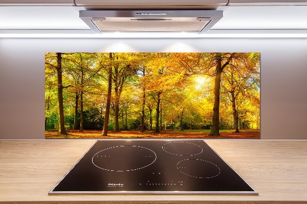 Cooker splashback Forest in autumn