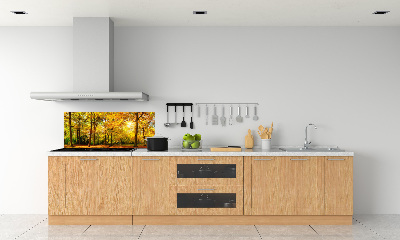 Cooker splashback Forest in autumn