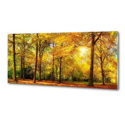 Cooker splashback Forest in autumn