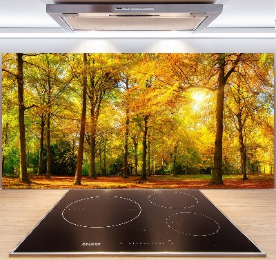 Cooker splashback Forest in autumn