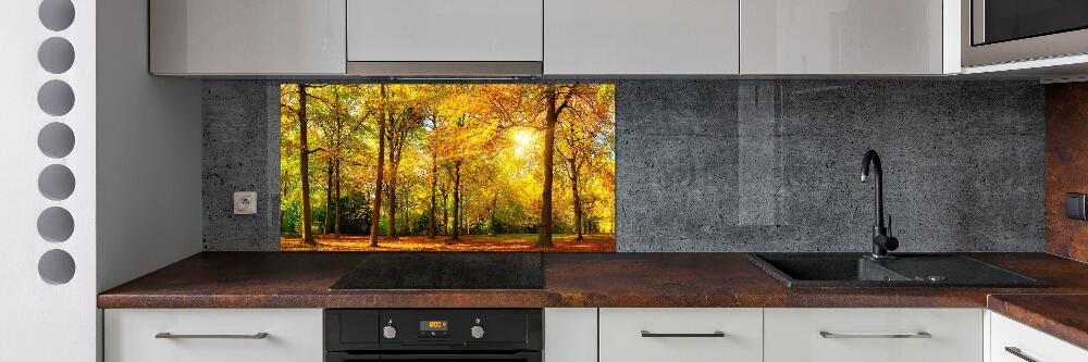 Cooker splashback Forest in autumn