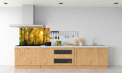 Cooker splashback Forest in autumn