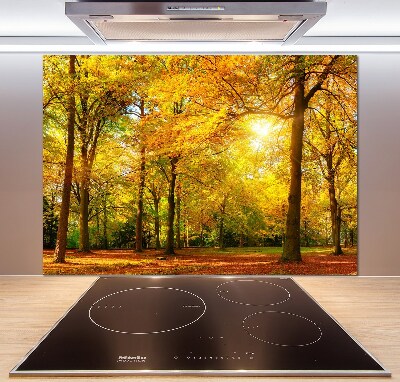 Cooker splashback Forest in autumn