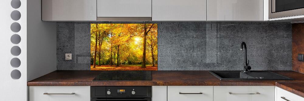 Cooker splashback Forest in autumn