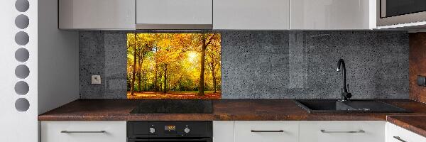 Cooker splashback Forest in autumn