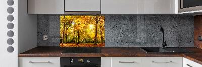 Cooker splashback Forest in autumn