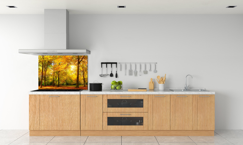 Cooker splashback Forest in autumn