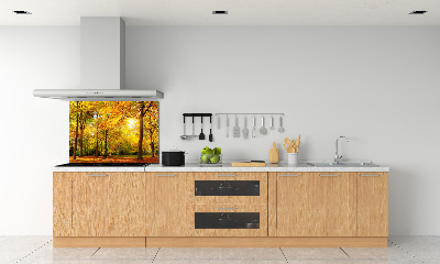 Cooker splashback Forest in autumn