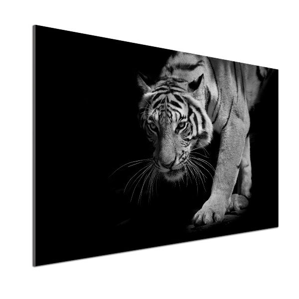 Cooker splashback Tiger