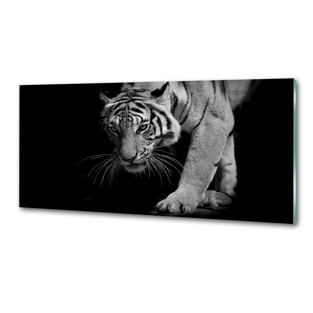 Cooker splashback Tiger