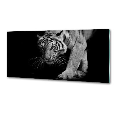 Cooker splashback Tiger