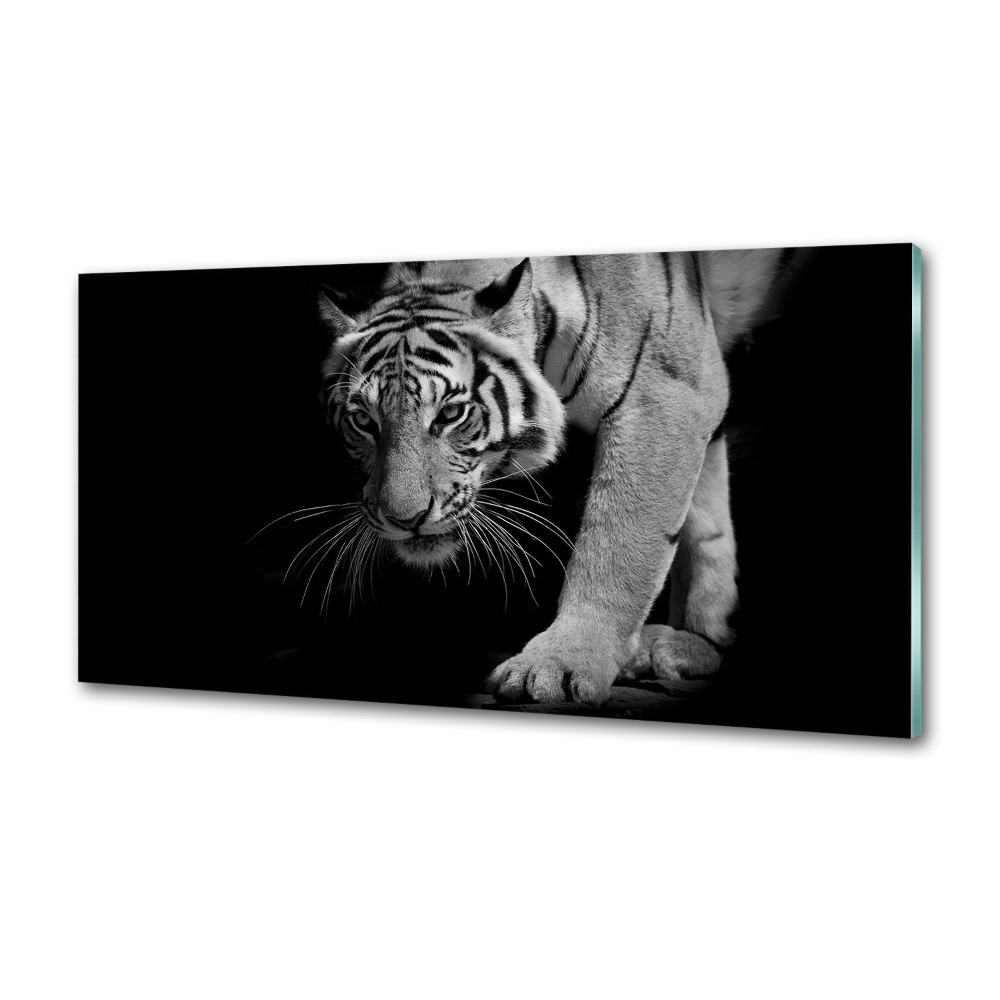 Cooker splashback Tiger