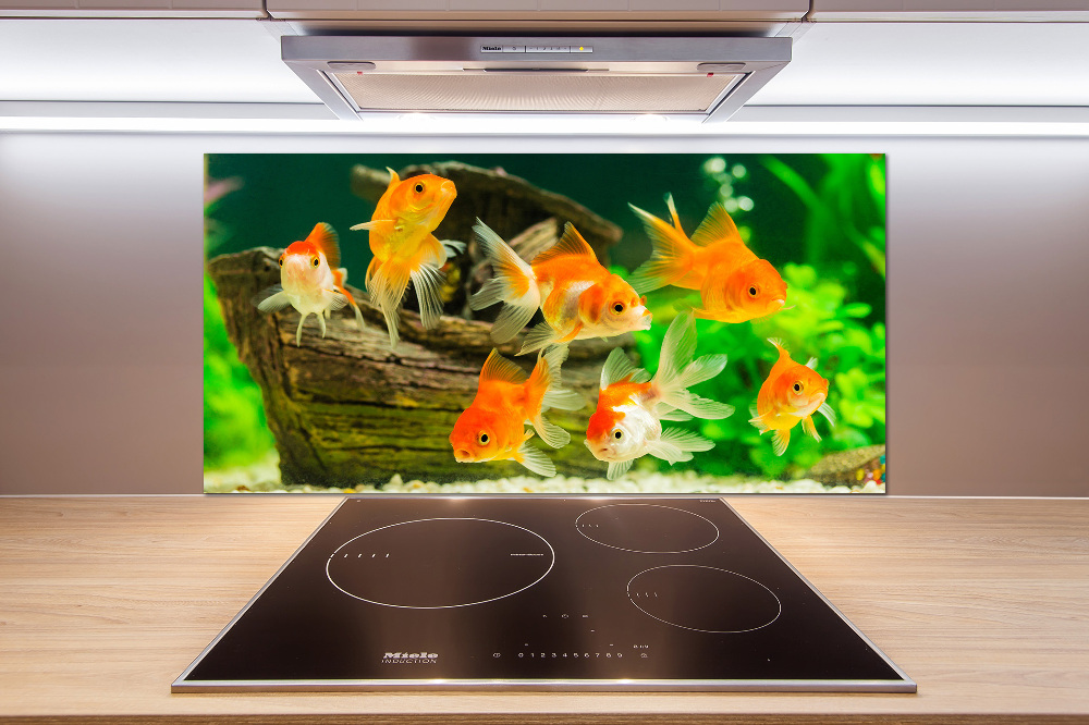 Cooker splashback Golden Fish