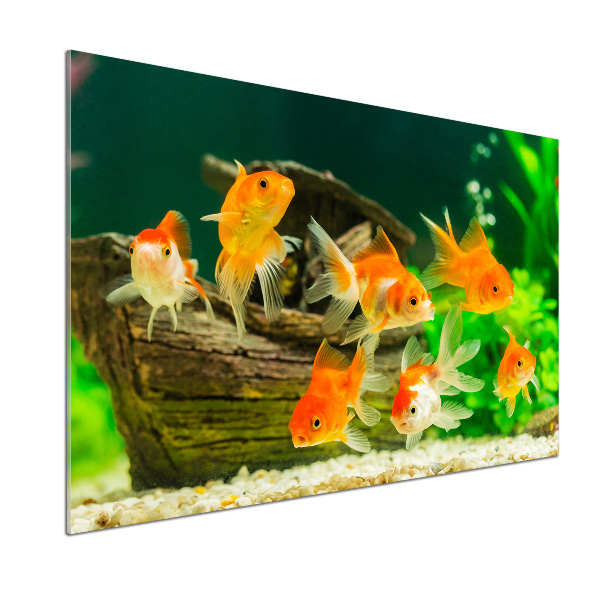 Cooker splashback Golden Fish