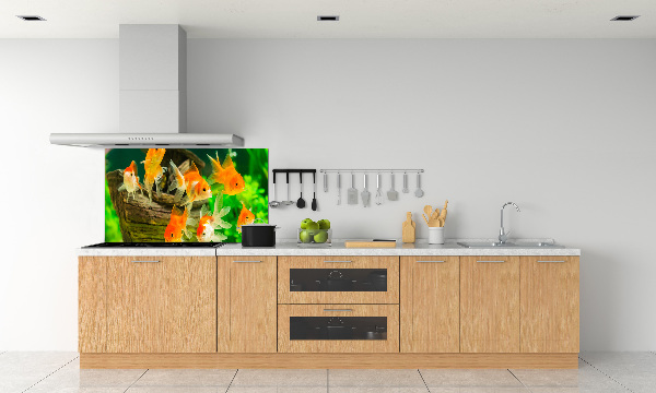 Cooker splashback Golden Fish