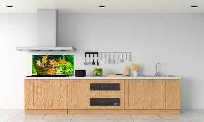 Cooker splashback Golden Fish