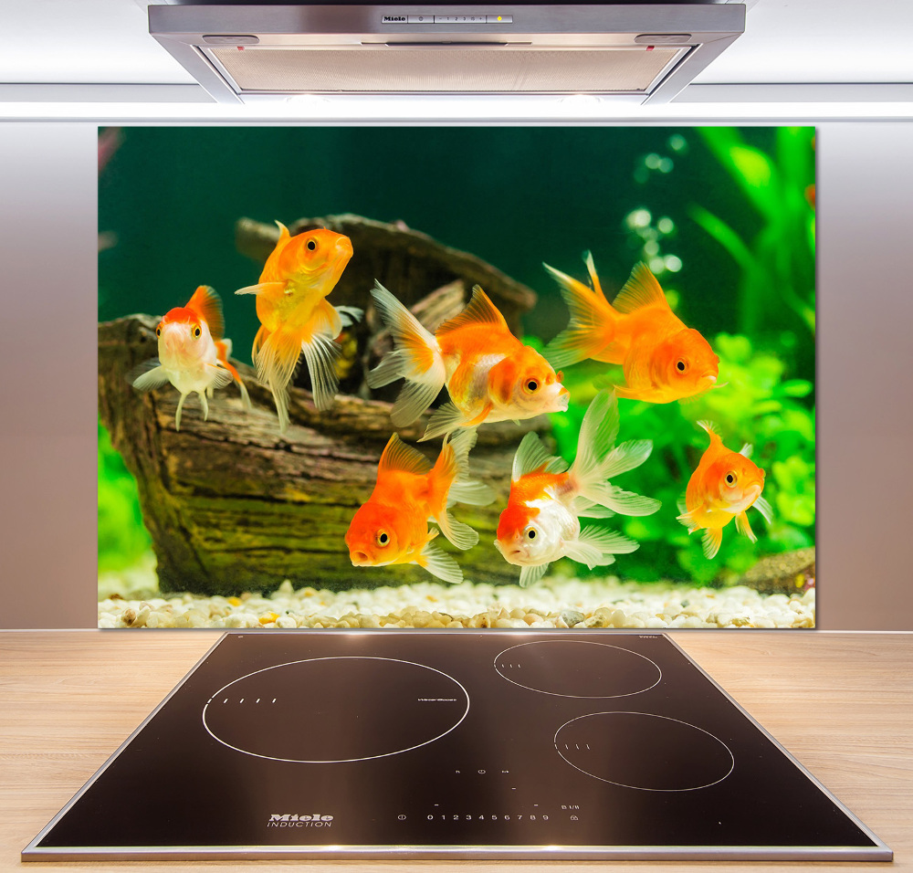 Cooker splashback Golden Fish