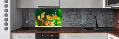 Cooker splashback Golden Fish