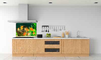 Cooker splashback Golden Fish