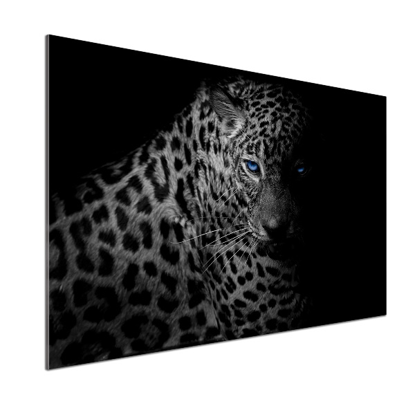 Cooker splashback leopard