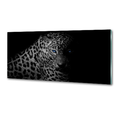 Cooker splashback leopard