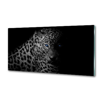 Cooker splashback leopard