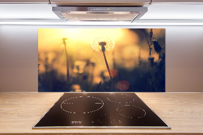 Kitchen splashback Dandelion