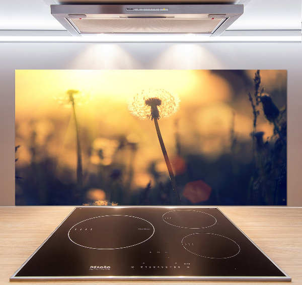 Kitchen splashback Dandelion