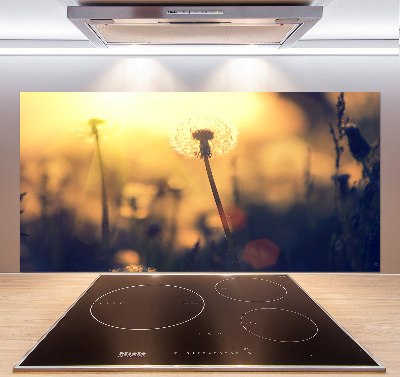 Kitchen splashback Dandelion