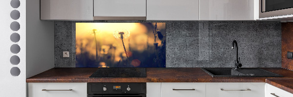 Kitchen splashback Dandelion